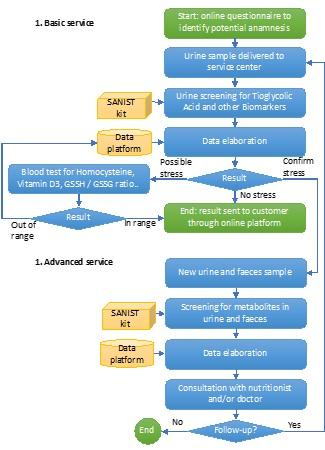 Figure-2-SANIST-service-process